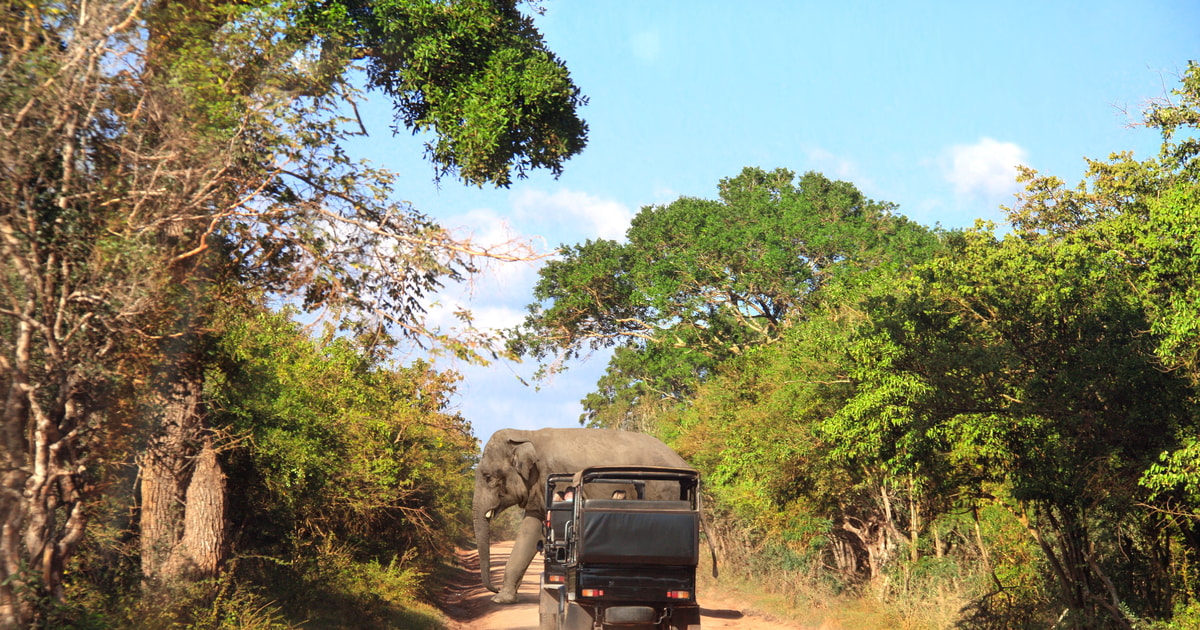 yala national park safari ticket price