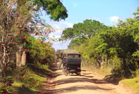From Ella , Yala National Park Safari Tour - Housity