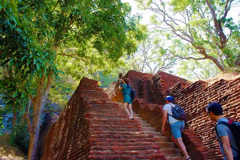 Vanuit Negombo: Dagtrip Sigiriya en Dambulla