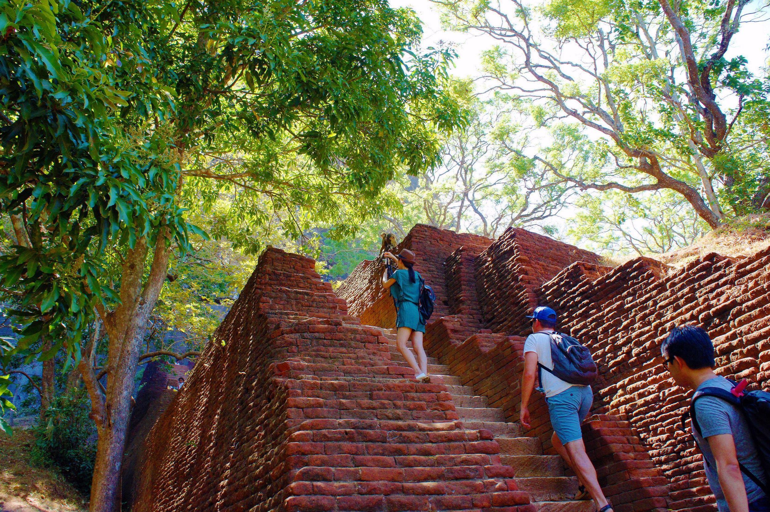 Von Negombo aus: Tagestour und Safari nach Sigiriya und Dambulla