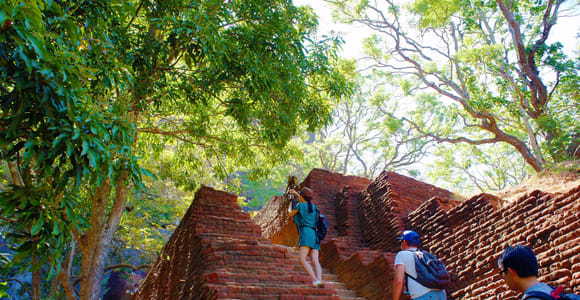 Von Negombo aus: Tagestour und Safari nach Sigiriya und Dambulla