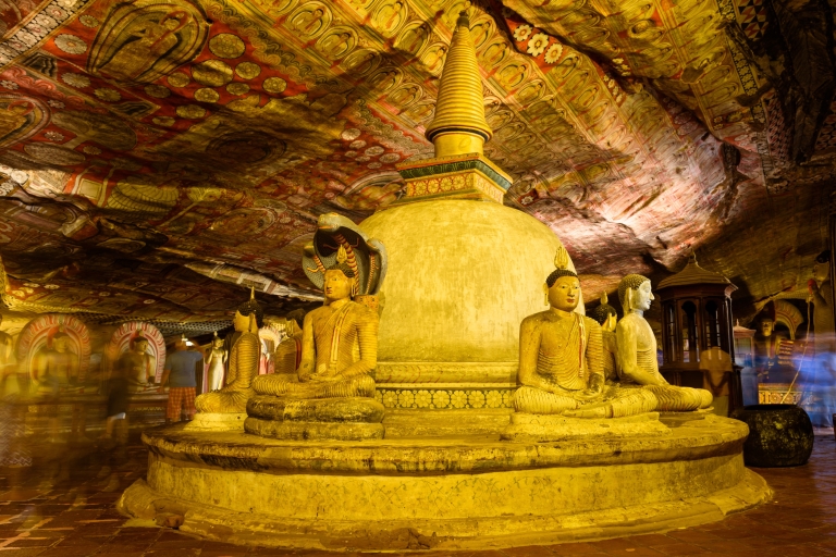 De Negombo: excursion d’une journée à Sigiriya et DambullaDe Negombo: excursion privée d'une journée à Sigiriya et Dambulla