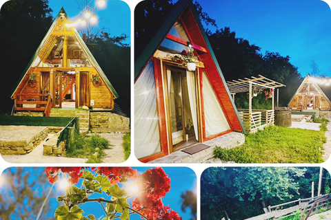 Bucharest: Transylvania Castles Tour with Dinner