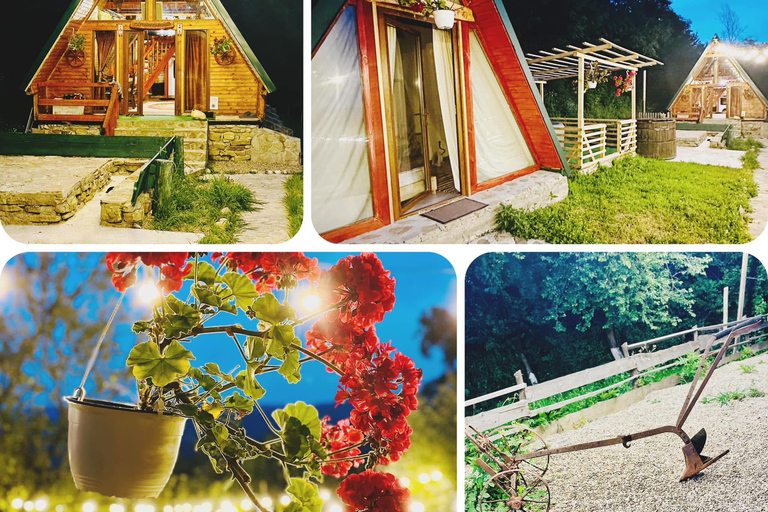 Bucharest: Transylvania Castles Tour with Dinner