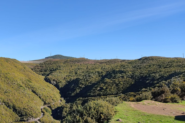 Autoguiado Levada 25 Fontes & Risco en RabaçalDesde Funchal: traslado al parque Rabacal y senderismo autoguiado