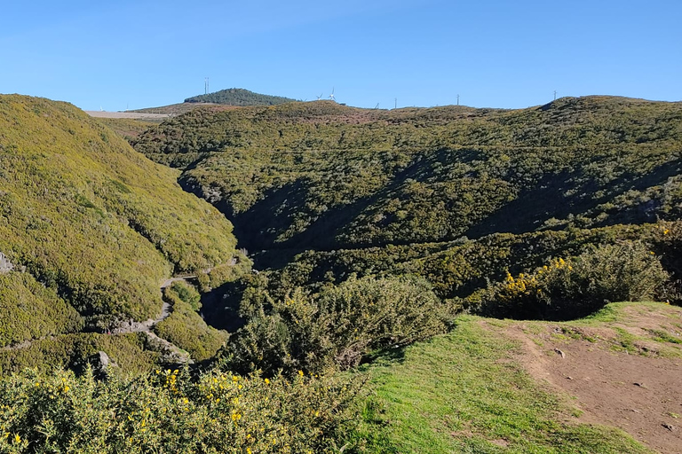 Autoguiado Levada 25 Fontes & Risco en RabaçalDesde Funchal: traslado al parque Rabacal y senderismo autoguiado