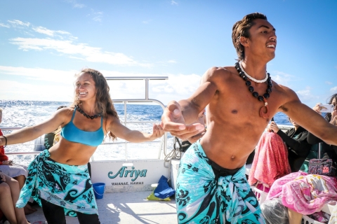D'Oahu: observation des dauphins sauvages et de la faune avec plongée en apnée