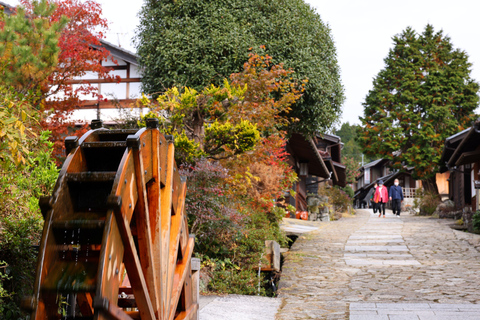 Nagoya: Autumn Korankei Gorge & Shikizakura Highlights Tour Shared Tour, Meet at Chubu Electric Power MIRAI Tower