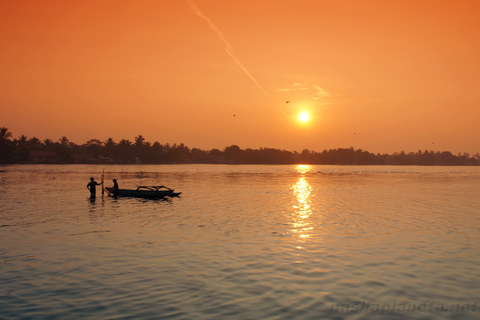 From Colombo: Negombo Lagoon (Mangrove )Boat ExcursionFrom Colombo: Negombo Lagoon Boat Excursion with Lunch