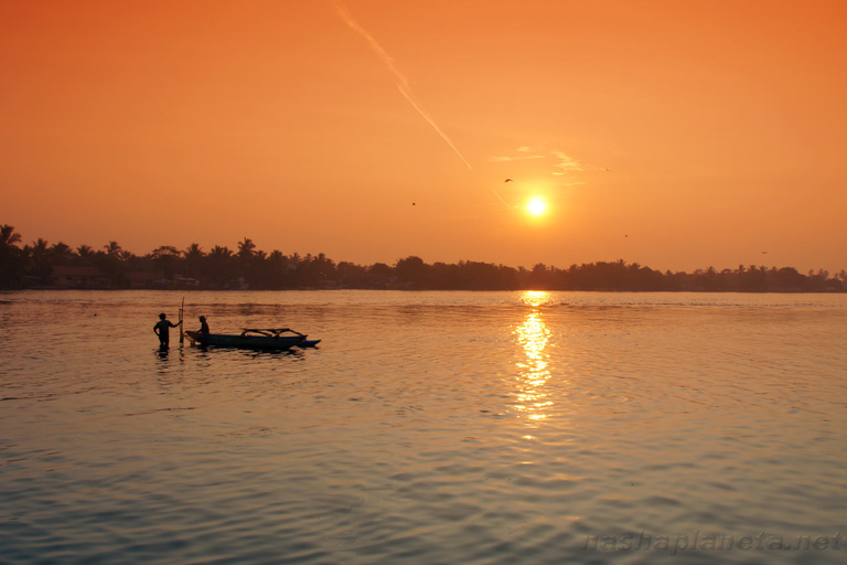 From Colombo: Negombo Lagoon (Mangrove )Boat ExcursionFrom Colombo: Negombo Lagoon Boat Excursion with Lunch