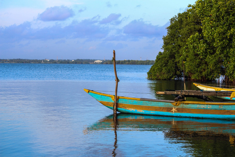 From Colombo: Negombo Lagoon (Mangrove )Boat ExcursionFrom Colombo: Negombo Lagoon Boat Excursion with Lunch