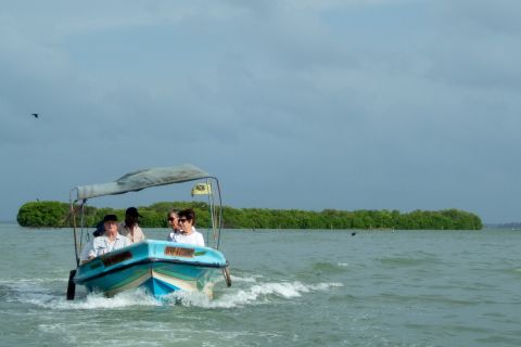 From Colombo: Negombo Lagoon Boat Excursion with Lunch
