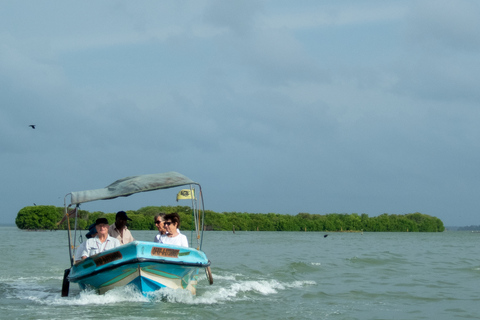 From Colombo: Negombo Lagoon (Mangrove )Boat ExcursionFrom Colombo: Negombo Lagoon Boat Excursion with Lunch