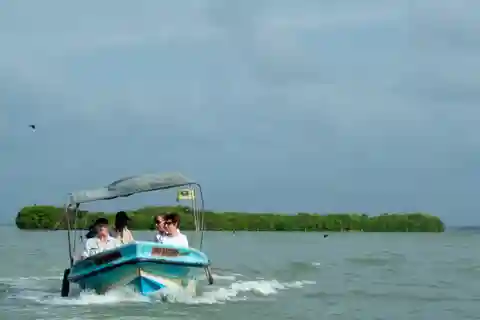 Negombo Lagune (Mangrove) Boot Excursie