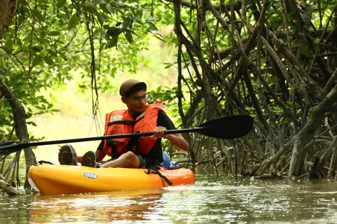 Johor: Sungai Lebam Kayak con Traslado