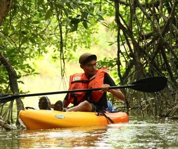 Johor: Kajakkpadling i Sungai Lebam med transfer