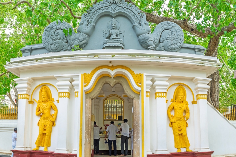 Excursion d'une journée à Anuradhapura, ville classée au patrimoine mondial de l'UNESCO, au départ de DambullaExcursion d'une journée à Anuradhapura, ville UNESCO, depuis Dambulla