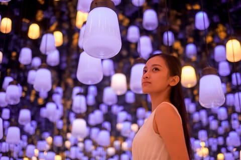 Tokyo: 4-Hour TeamLab Planets & Asakusa Tour