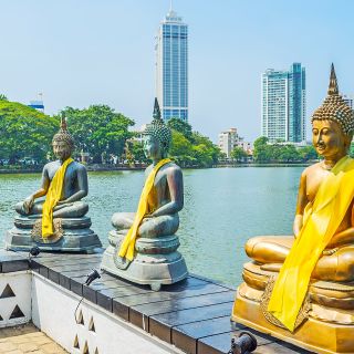 Colombo Half-Day City Tour - Cruise terminal /Hotels