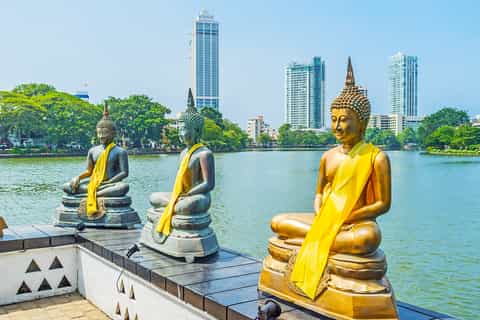 Colombo Half-Day City Tour - Cruise terminal /Hotels