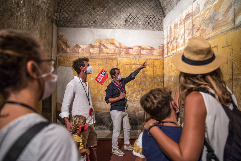 Da Sorrento: Tour di mezza giornata di Pompei con salta la fila