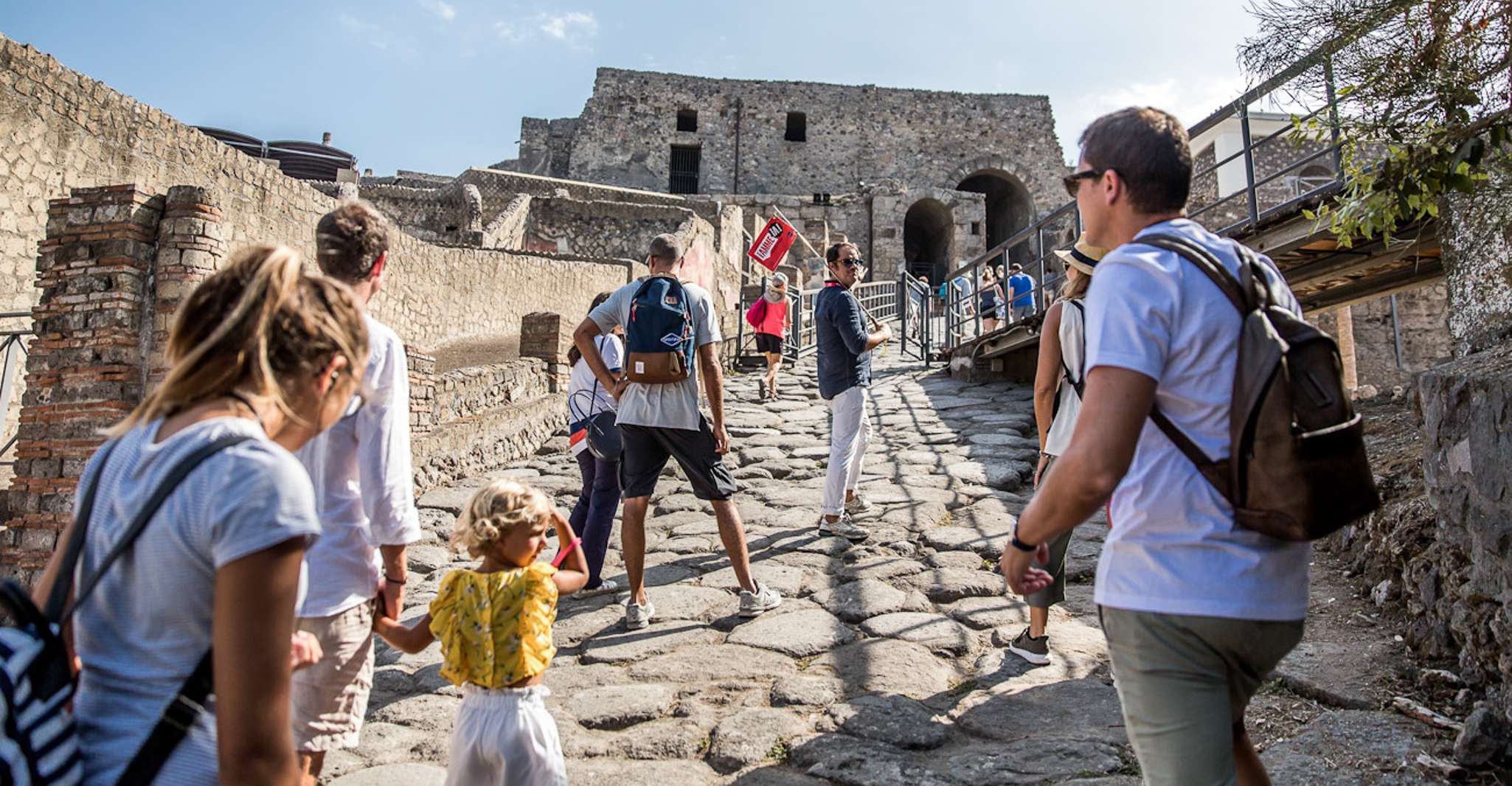 From Sorrento, Pompeii Half-Day Skip-the-Line Tour - Hizvo