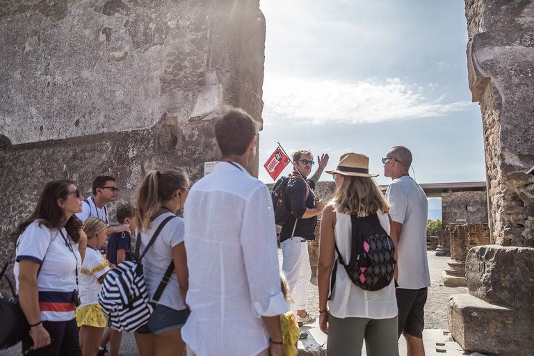 From Sorrento: Pompeii Half-Day Skip-the-Line Tour