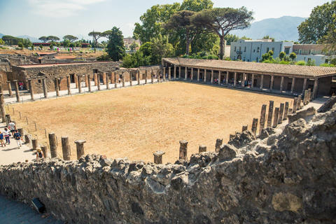 Da Sorrento: Tour di mezza giornata di Pompei con salta la fila