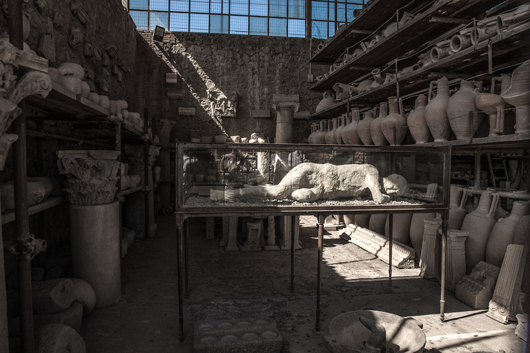 Da Sorrento: Tour di mezza giornata di Pompei con salta la fila