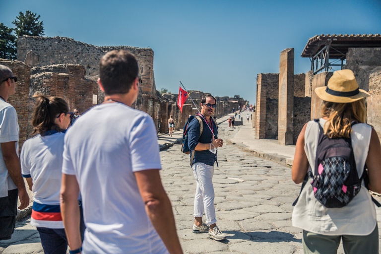 Da Sorrento: Tour di mezza giornata di Pompei con salta la fila