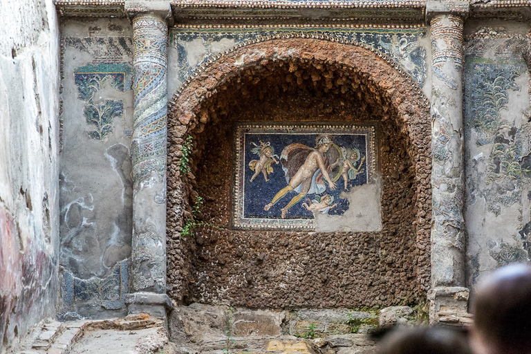 Da Sorrento: Tour di mezza giornata di Pompei con salta la fila