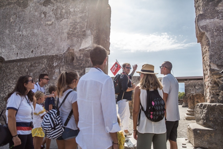 Pompeya: tour a pie guiado con entrada sin colasTour privado a pie con acceso sin filas en inglés