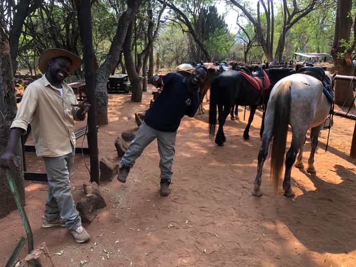 From Johannesburg HorseRiding Safari and Cable Car Tour GetYourGuide