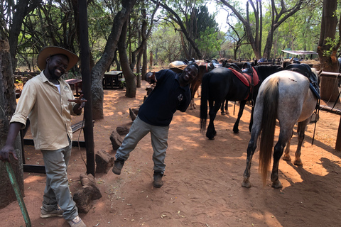 Desde Johannesburgo: safari a caballo y recorrido en teleférico