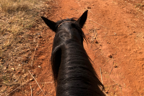 From Johannesburg: Horse-Riding Safari and Cable Car Tour