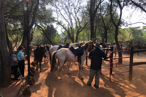 Von Johannesburg aus: Reitsafari und Seilbahntour