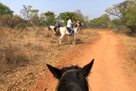 From Johannesburg: Horse-Riding Safari and Cable Car Tour