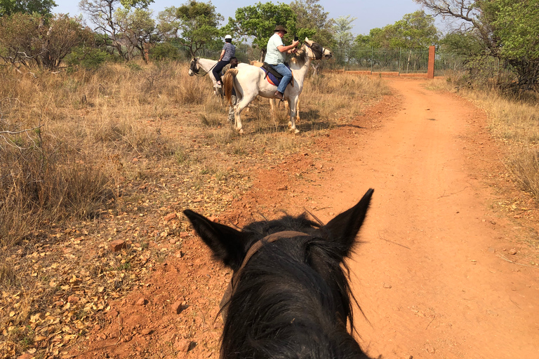 Au départ de Johannesburg : Safari à cheval