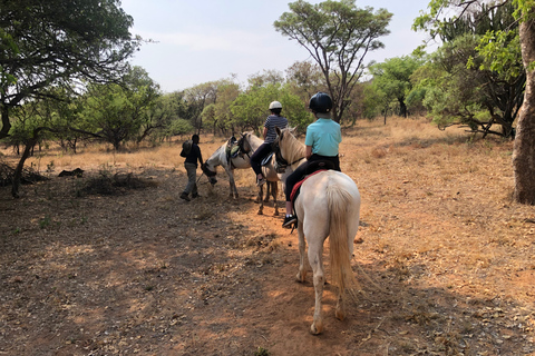 From Johannesburg: Horse-Riding Safari and Cable Car Tour