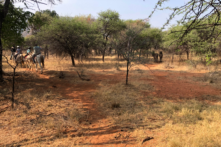 Vanuit Johannesburg: Paardrijden safari