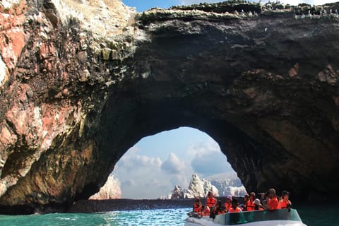 From Paracas: Ballestas Island Boat Tour with entrances