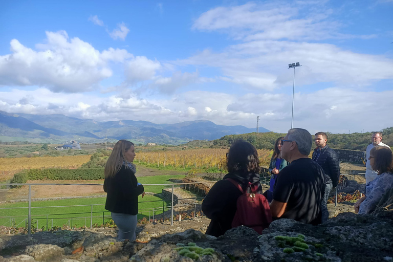 Au départ de Taormina : Circuit en petit groupe des vignobles de l'Etna