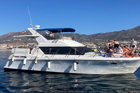 Fuengirola: Dolphin Watching Trip w/ Refreshments