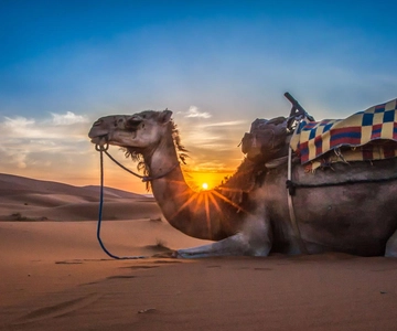 Agadir/Taghazout/Port: Sahara Desert 4x4 Day Trip with Lunch