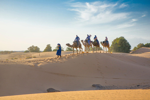 Agadir/Taghazout/Port: Sahara Desert 4x4 Day Trip with Lunch Tour From Taghazout/Tamraght/Anza/Aourir