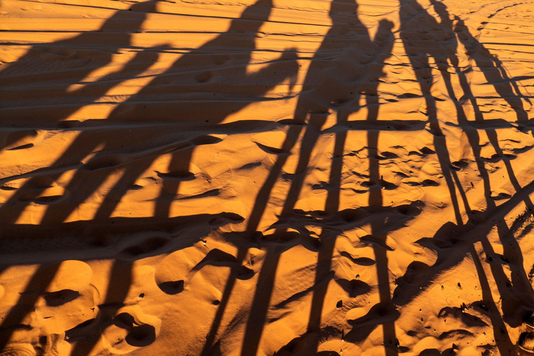 Depuis Agadir : journée dans le désert et thé marocain