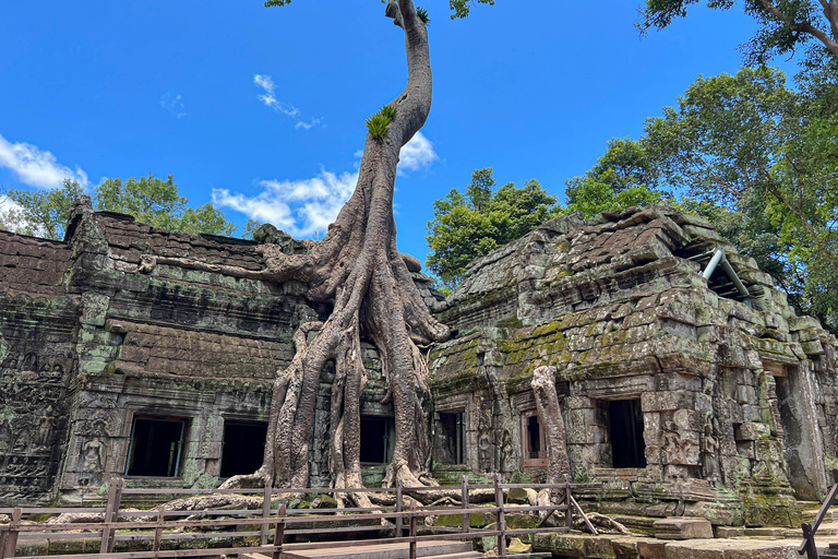 Siem Reap: Angkor Wat Sunrise Tour via Tuk Tuk & Breakfast