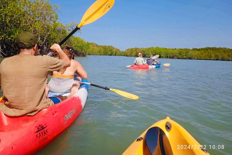 Ko Lanta : Kayak dans la mangrove, Ko Talabeng et l'île du Crâne