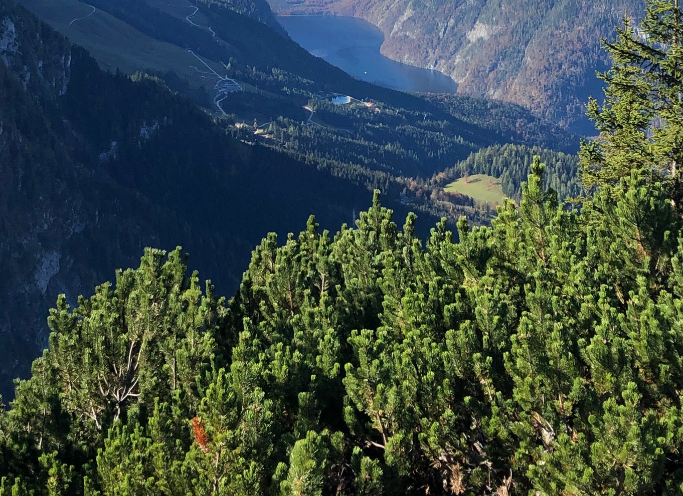 Fra München: Guidet gruppetur til Ørnereden