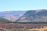 Desde Hazyview, recorrido panorámico de día completo y elevación del desfiladero - Hizvo